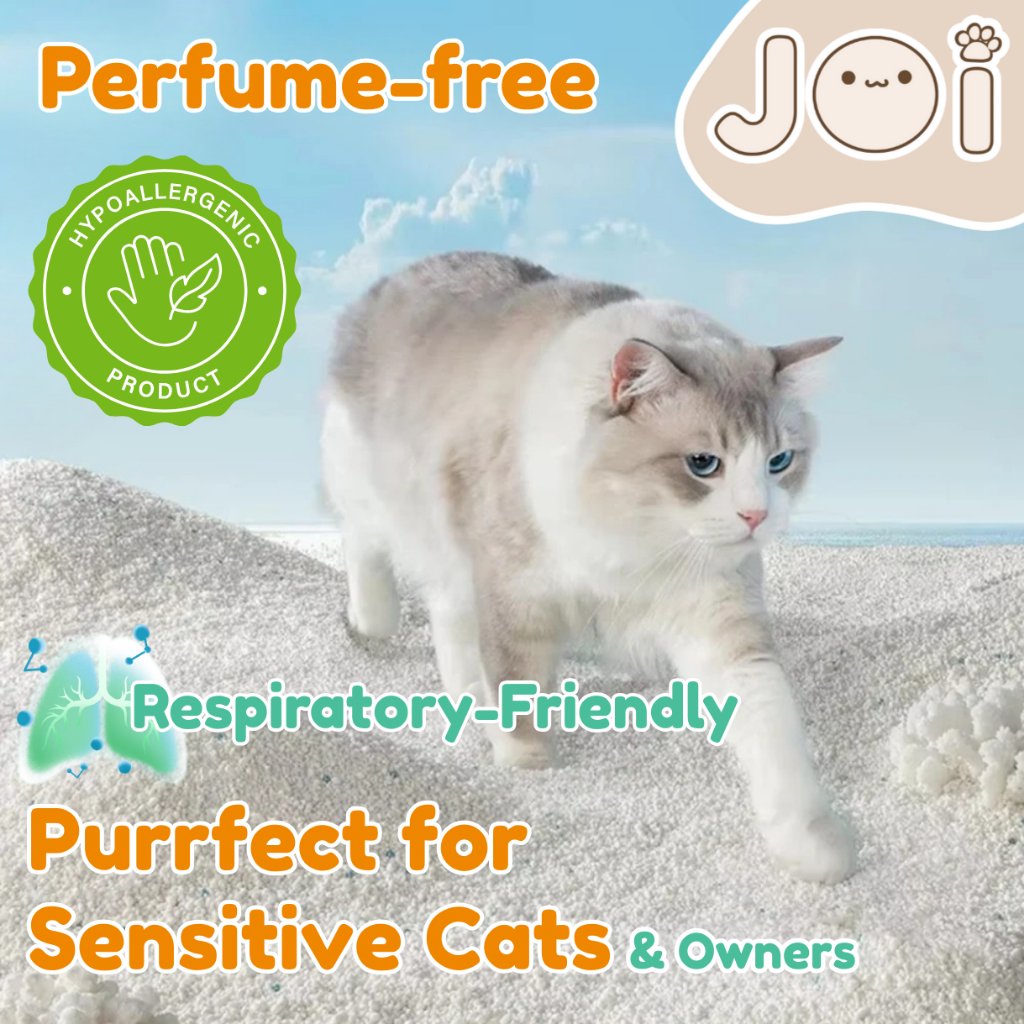 Joi Pet Unscented Cassava Cat Litter (2kg) - Image 4